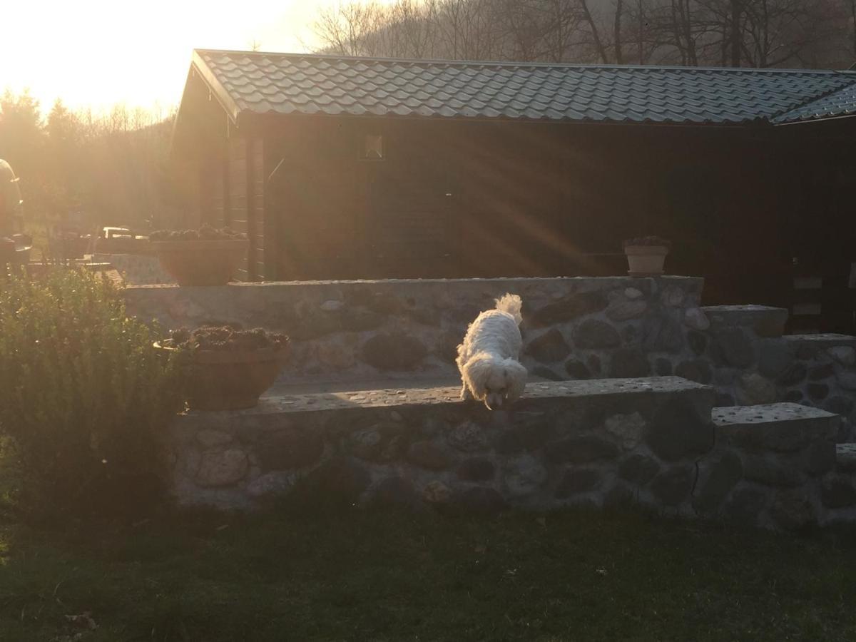 Cottage Ravna Rijeka Bijelo Polje Bagian luar foto